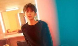 红毛小帅哥前妻爆料视频,揭秘婚姻内幕与情感纠葛