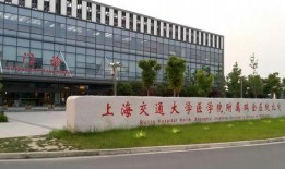 上海瑞金医院最新爆料,前沿医疗技术突破与临床应用