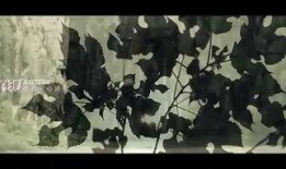 野狼谷全集在线观看,探寻神秘山谷的传奇冒险之旅